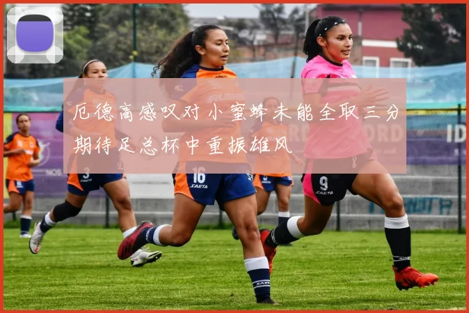 厄德高感叹对小蜜蜂未能全取三分期待足总杯中重振雄风