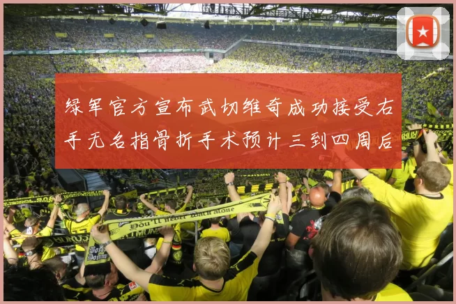 绿军官方宣布武切维奇成功接受右手无名指骨折手术预计三到四周后复查